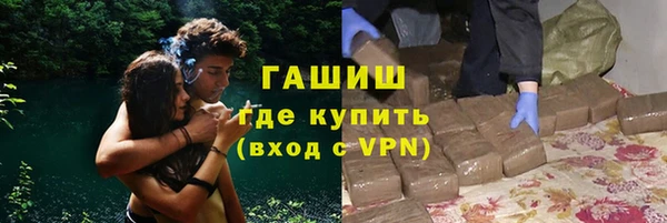 шишки Богородск
