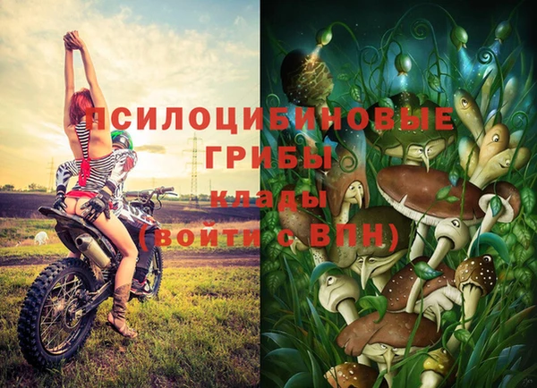 MDMA Беломорск