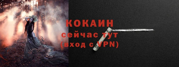 трава Белокуриха